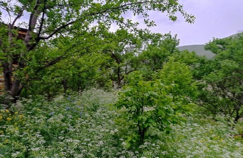 T'ba Bed & Breakfast | მესხთა