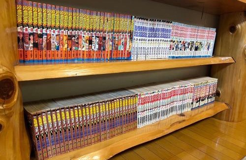 Tokigawa Apartment | うぐいすハウス