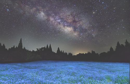 Taketa Other | くじゅう花公園 グランピングパーク花と星