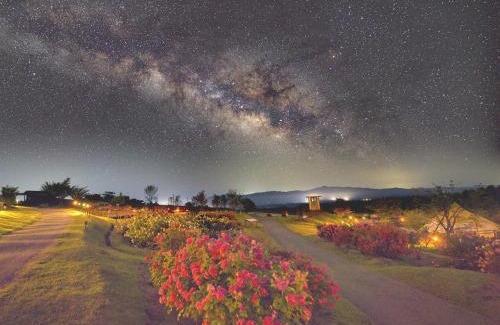 Taketa Other | くじゅう花公園 グランピングパーク花と星