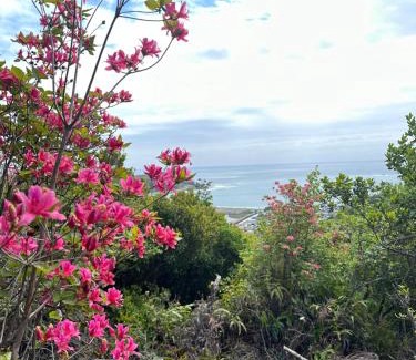 Nachikatsuura Apartment | ゲストハウス れんげ苑