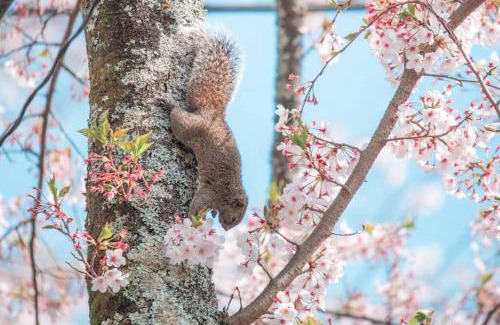 Yawatano House | シャローム伊豆高原