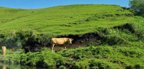 Aso Hotel | ホテルサンクラウン大阿蘇suncrown温泉は無いけど優雅に過ごせる