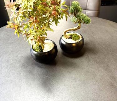 Fushimi Apartment | ミラージュ宿 2025年5月オープン 京都芸術 1軒家貸切