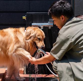 Sanmu Villa | モントゥトゥ-Montoutou-