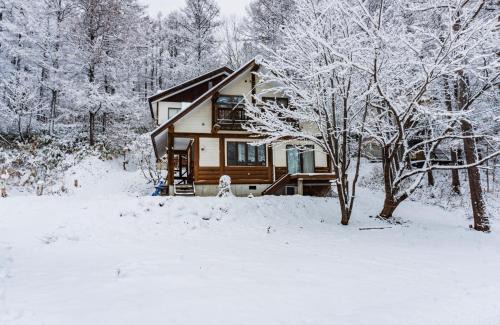 Shinano Apartment | ラ・コリナ リトリート La Colina Retreat