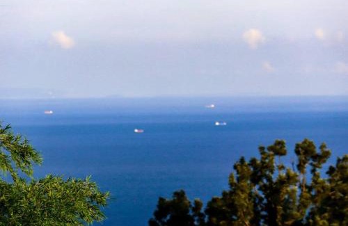 Yawatano Villa | 伊豆高原-忘我庵 Cozy Ocean View Villa