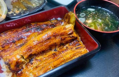 Yawatano Villa | 伊豆高原-忘我庵 Cozy Ocean View Villa