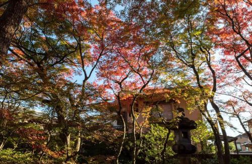 Ukyo Ward House | 伝心庵 Garden Villa Denshin-An