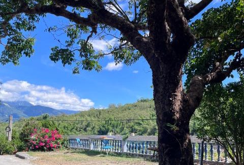 Chishang House | 十畝田山莊會館