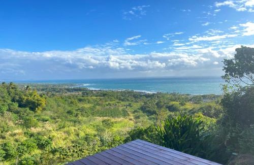 Chenggong House | 台東 奧麗雅安莊園 Chateau de olea