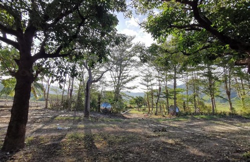 Checheng House | 四重溪可以居民宿 Fine Inn