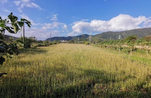 Checheng House | 四重溪可以居民宿 Fine Inn