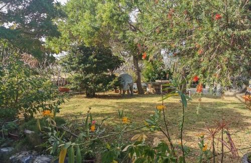 Checheng House | 四重溪可以居民宿 Fine Inn