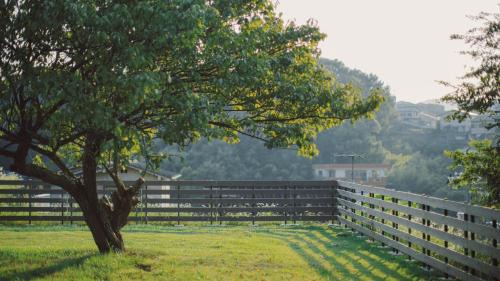 Onomichi Apartment | 旧雨今雨