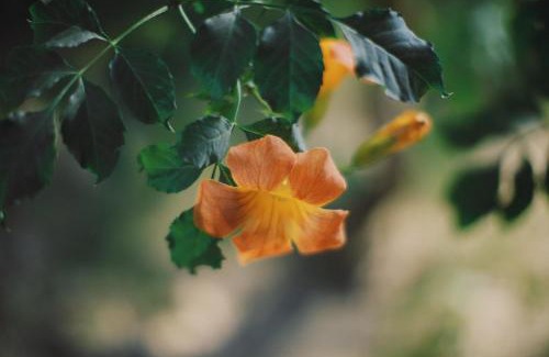 Onomichi Apartment | 旧雨今雨