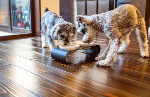 Matsue House | 松江日和 by HIYORISTAY