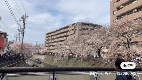 Minami Ward Villa | 桜川別莊