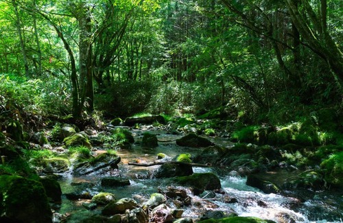 Ehime Prefecture House | 深山山荘 DENCHI