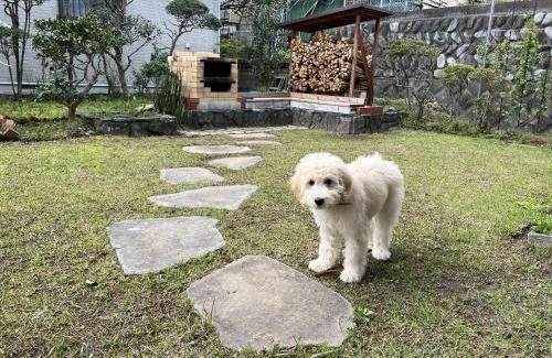 Ninomiya House | 湘南ソラル〜二宮の高台・アートな庭付き日本家屋121㎡／高速WiFi／芝生ドッグラン・ピザ窯BBQ有