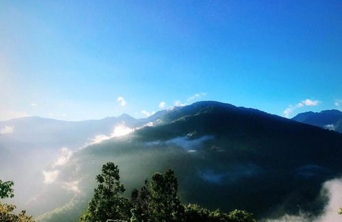 Fuxing District House | 熊居民宿Lala Mountain Bear Farm