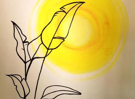 Mambajao Hotel | 珂珂茉潜水度假村Kokomo Dive Resort