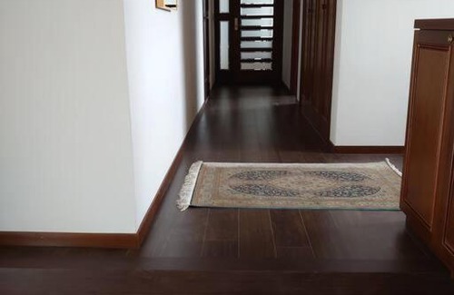 Suginami Villa | 眺めのいい一軒家