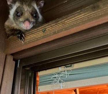 Kita Karuizawa House | 貸し別荘 Key of Private Villa 'ムササビハウス'