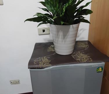 Tamsui House | 香柏樹