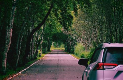 Guangfu Bed & Breakfast | 麵包樹舍 Breadfruit B&B