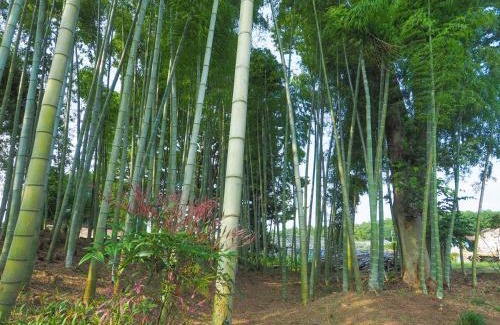 Otawara House | 黒羽別邸旧後藤邸