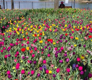 Banghwa-dong Apartment | 서울, 마곡, 공항 접근성 좋은 넓고 조용한 숙소