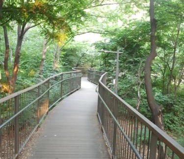 Chayangil-tong House | 소담스테이