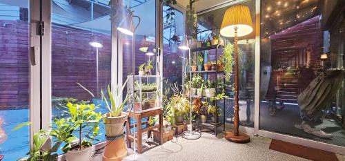 Yangyang House | 양철지붕위의 고양이Cat on a Hot Tin Roof