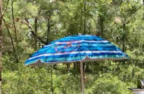 Citrus Springs RV Rental | 1-bedroom campground 19 minutes from Rainbow Springs State Park