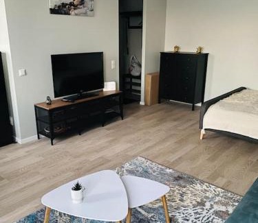 Maskavas Forstate Apartment | 1-bedroom loft in Siena Tirgus