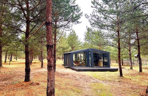 Dzwierzuty Apartment | 100 Drzew - Leśny Klimat Mazur