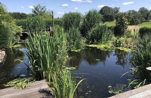 Lennep Condo | 100 Jahre Zurück in die Vergangenheit