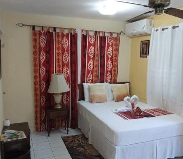 New Kingston Apartment | 11 Glenhope Avenue