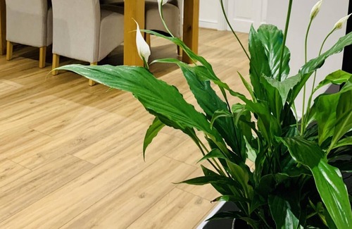 Taunton Other | 12 St Margarets Court, Taunton