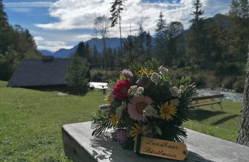 Hinterstoder Hotel | 13 m² Hotel ∙ 1 bedroom ∙ 1 guest