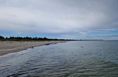 Idestrup House | 14 person holiday home in Idestrup