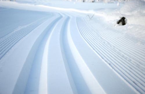 Ljordal Apartment | 16 - Fulufjellets nasjonalparker - snø - alpint - langrenn - snøscooter