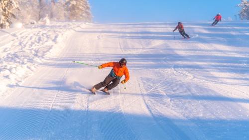 Ljordal Apartment | 16 - Fulufjellets nasjonalparker - snø - alpint - langrenn - snøscooter