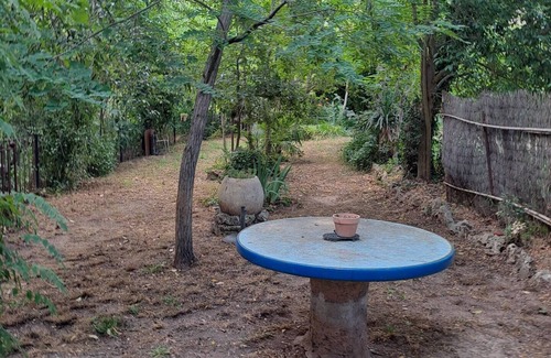 Pignans House | 1600m2 of greenery at the foot of the Landes mountains