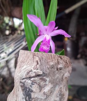 Chajari Apartment | 17-Solar Chaja