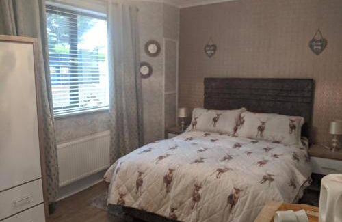 Tramore Bed & Breakfast | 18 m² Bed and breakfast ∙ 2 guests