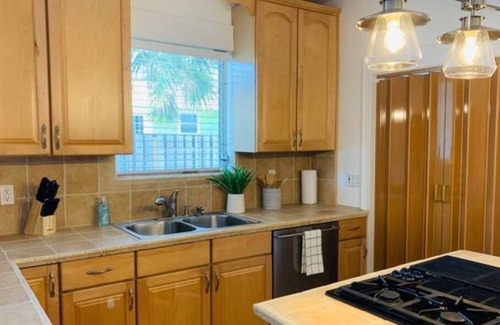 Downtown Dunedin Cottage | 1926 Updated Cottage 5 min walk to downtown