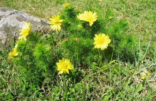 Byxelkrok House | 1B, Stuga m havsutsikt & 50m till strand