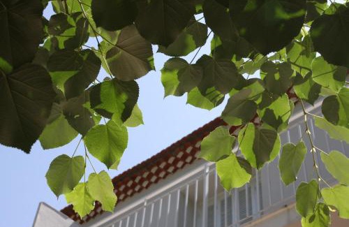 Bocognano Bed & Breakfast | 1er Consul SAS a Bussinca